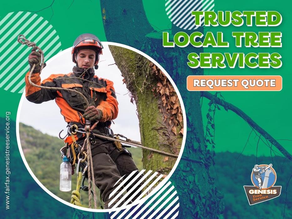 Genesis Tree Service - Fairfax, VA