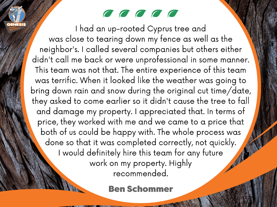 Genesis Tree Service - Fairfax, VA