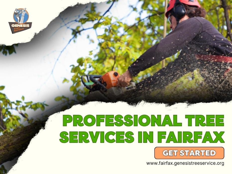 Genesis Tree Service - Fairfax, VA
