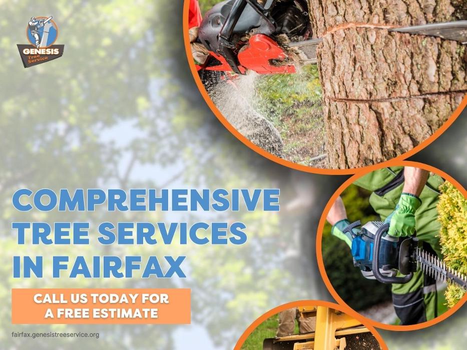 Genesis Tree Service - Fairfax, VA