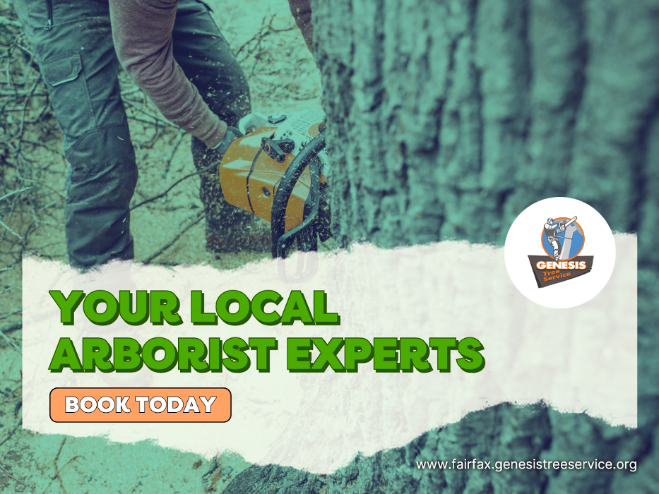 Genesis Tree Service - Fairfax, VA