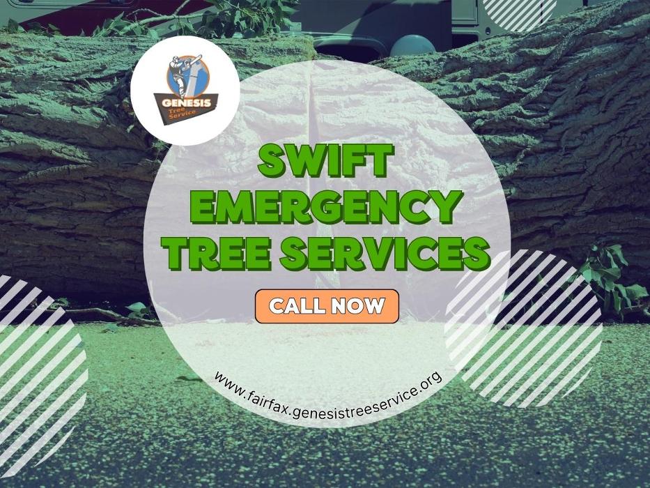Genesis Tree Service - Fairfax, VA