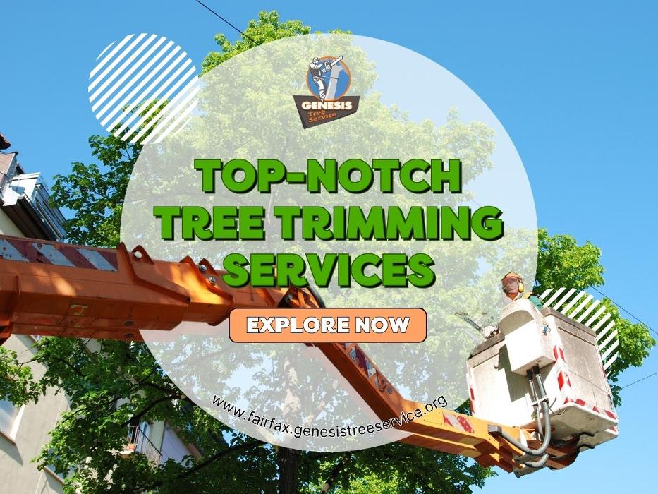 Genesis Tree Service - Fairfax, VA