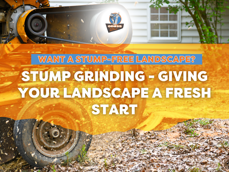 Genesis Tree Service - Fairfax, VA