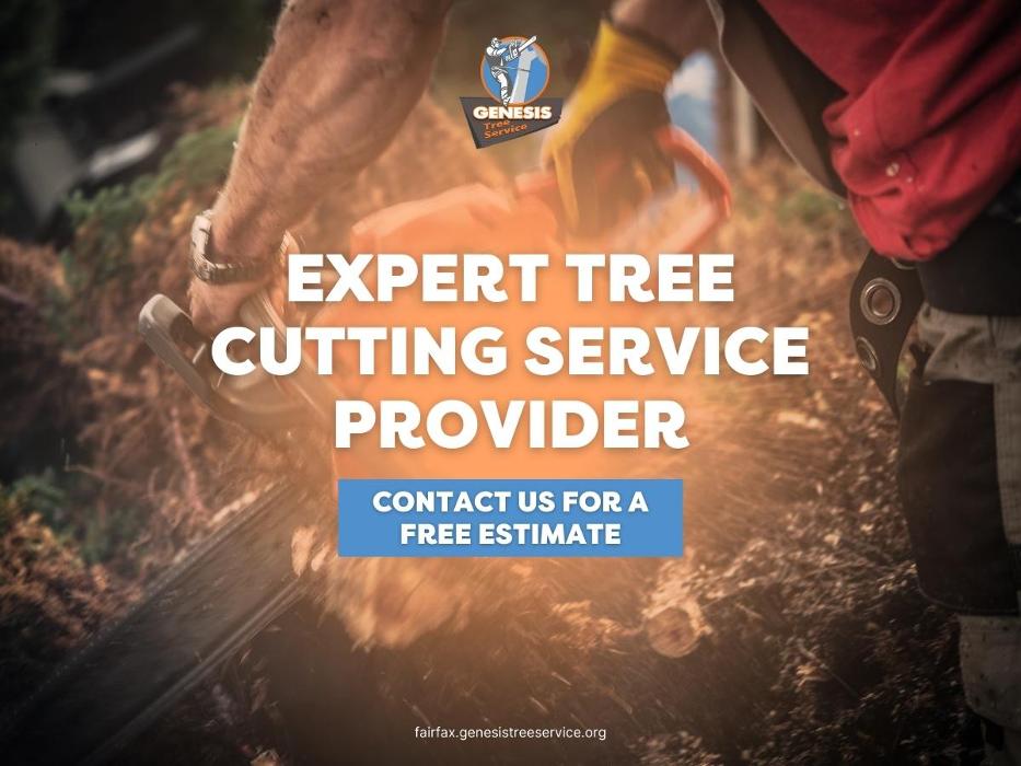 Genesis Tree Service - Fairfax, VA