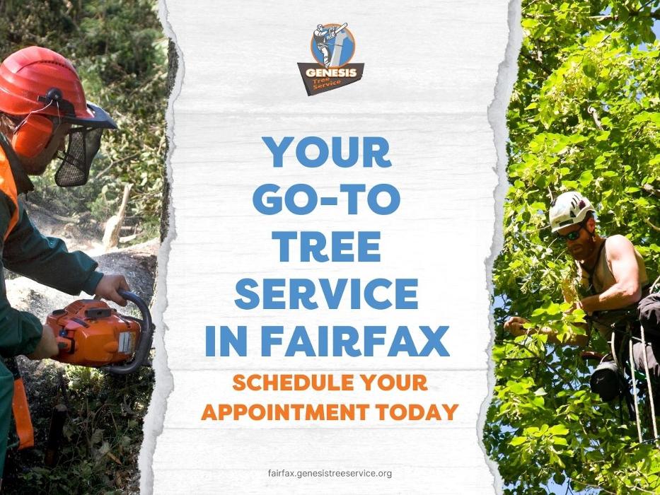 Genesis Tree Service - Fairfax, VA