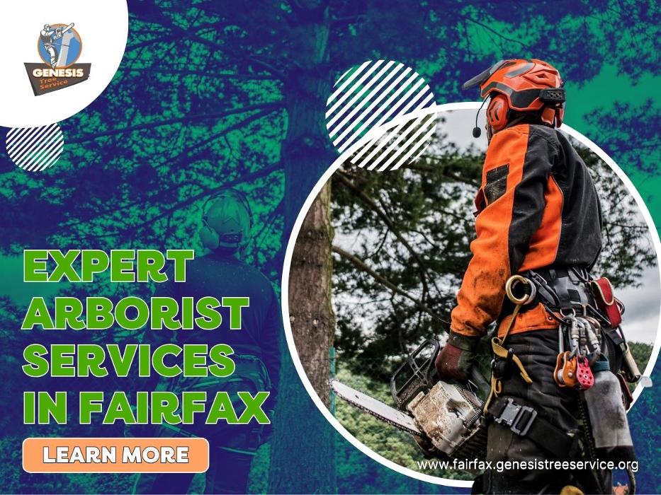 Genesis Tree Service - Fairfax, VA