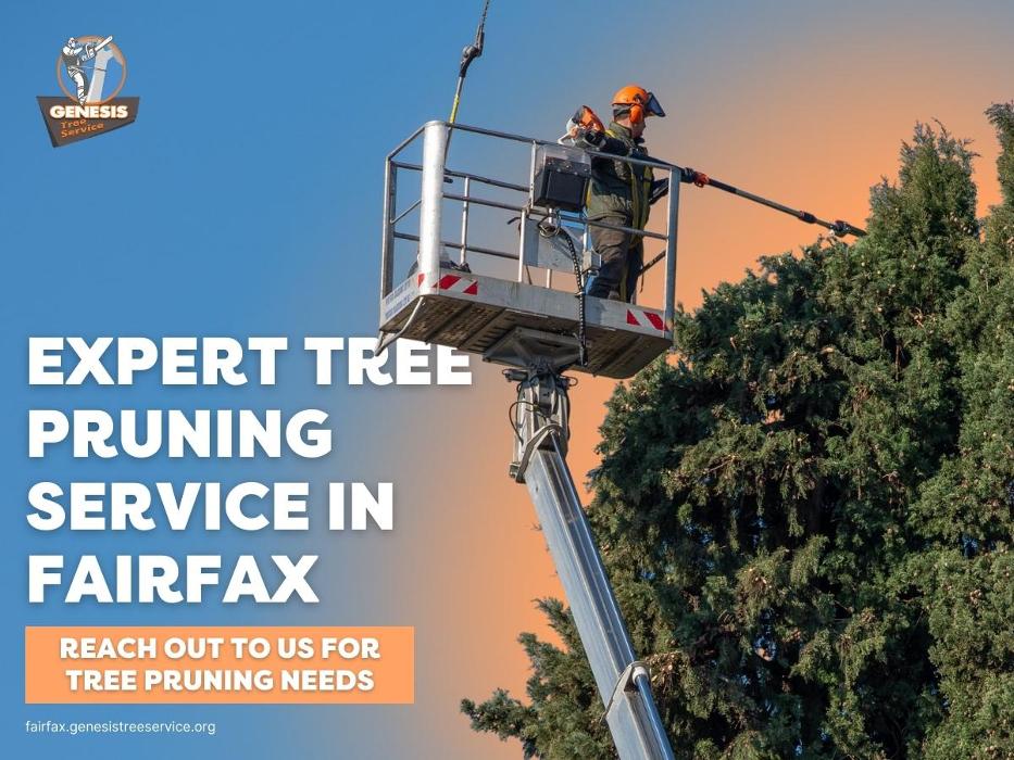 Genesis Tree Service - Fairfax, VA