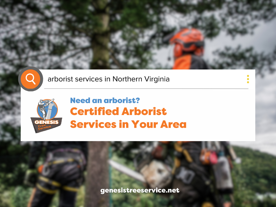 Genesis Tree Service - Fairfax, VA