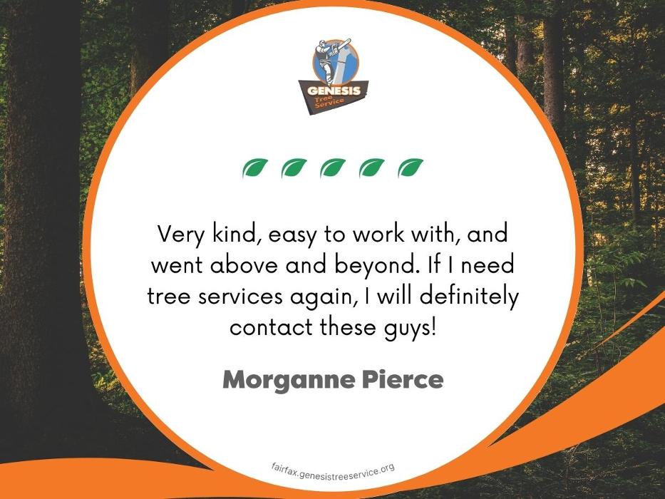 Genesis Tree Service - Fairfax, VA