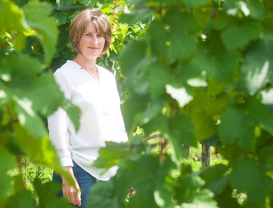 WEINHOF GRILL, Untere Marktstraße in Fels am Wagram