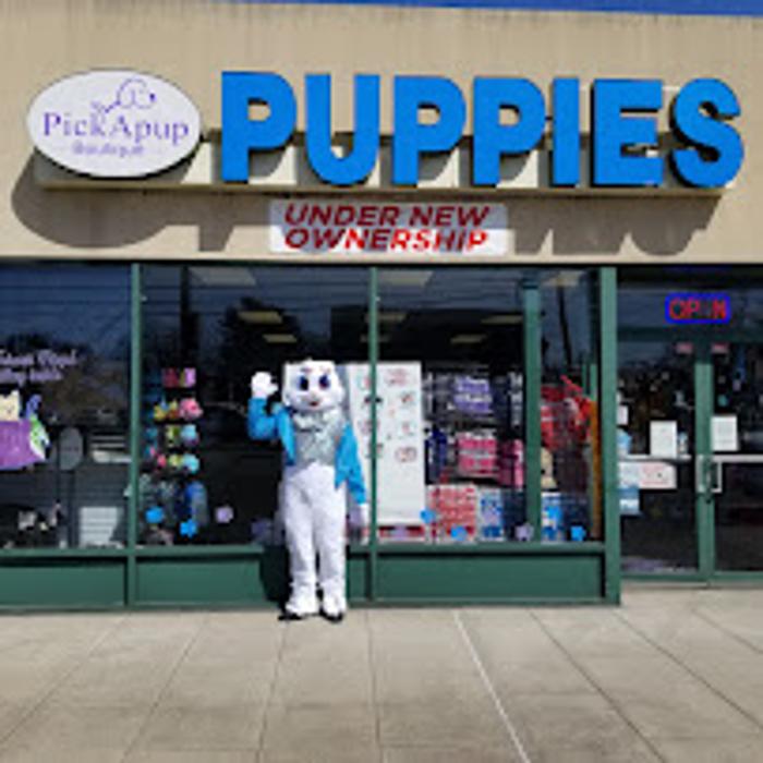 PickApup Boutique - Merrick, NY