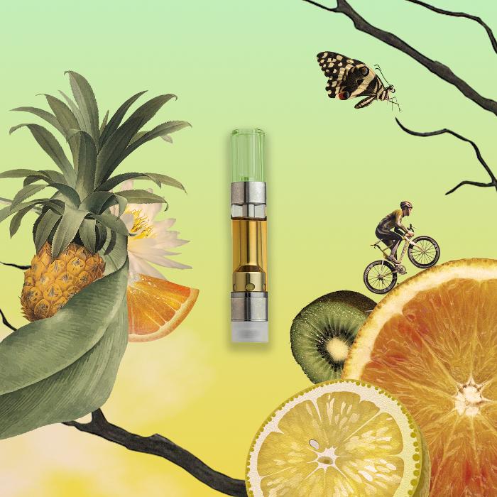 FLUENT Cannabis Dispensary - Crestview - Crestview, FL