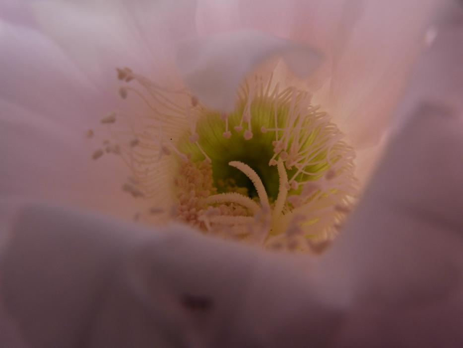 Ferienwohnung mit Sauna in der Region Europapark