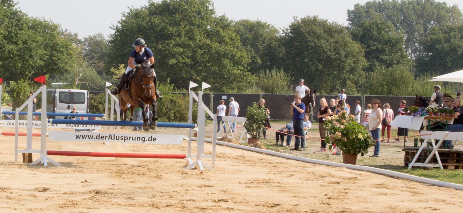 Hamburger Pferdemarkt, Driftredder in Hamburg