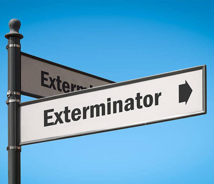 WarZone Pest Control - Piedmont, AL