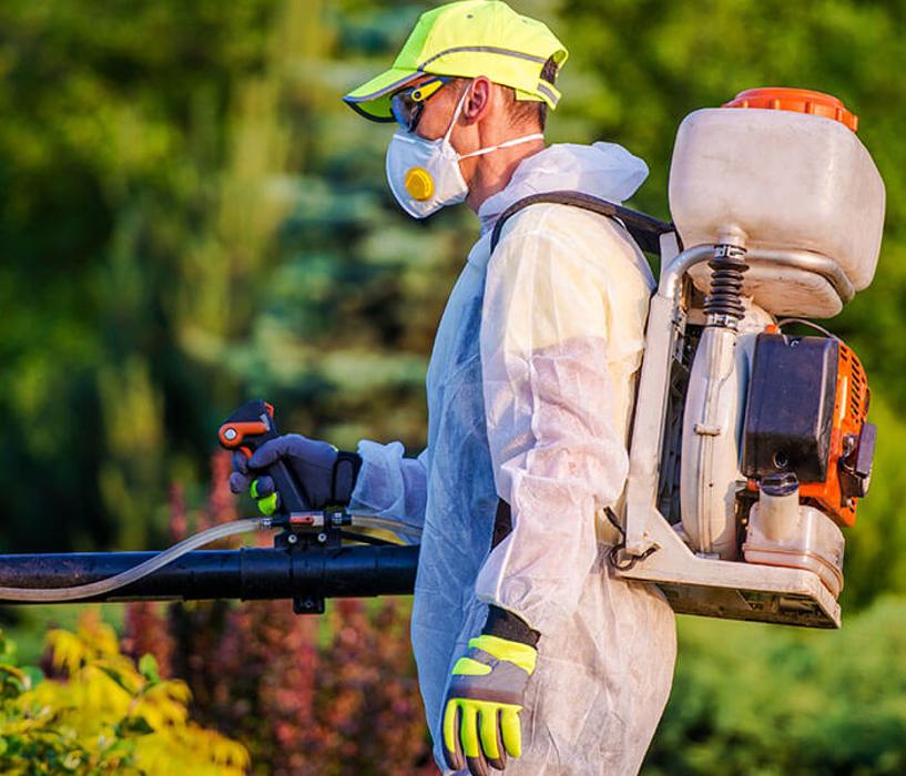 WarZone Pest Control - Piedmont, AL