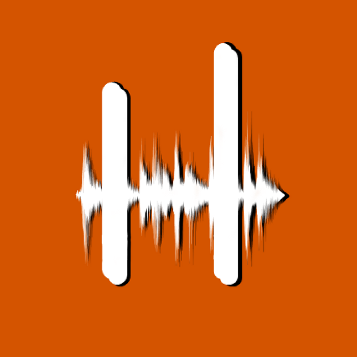 Hands In Motion Music School & Productions - Brandon, FL