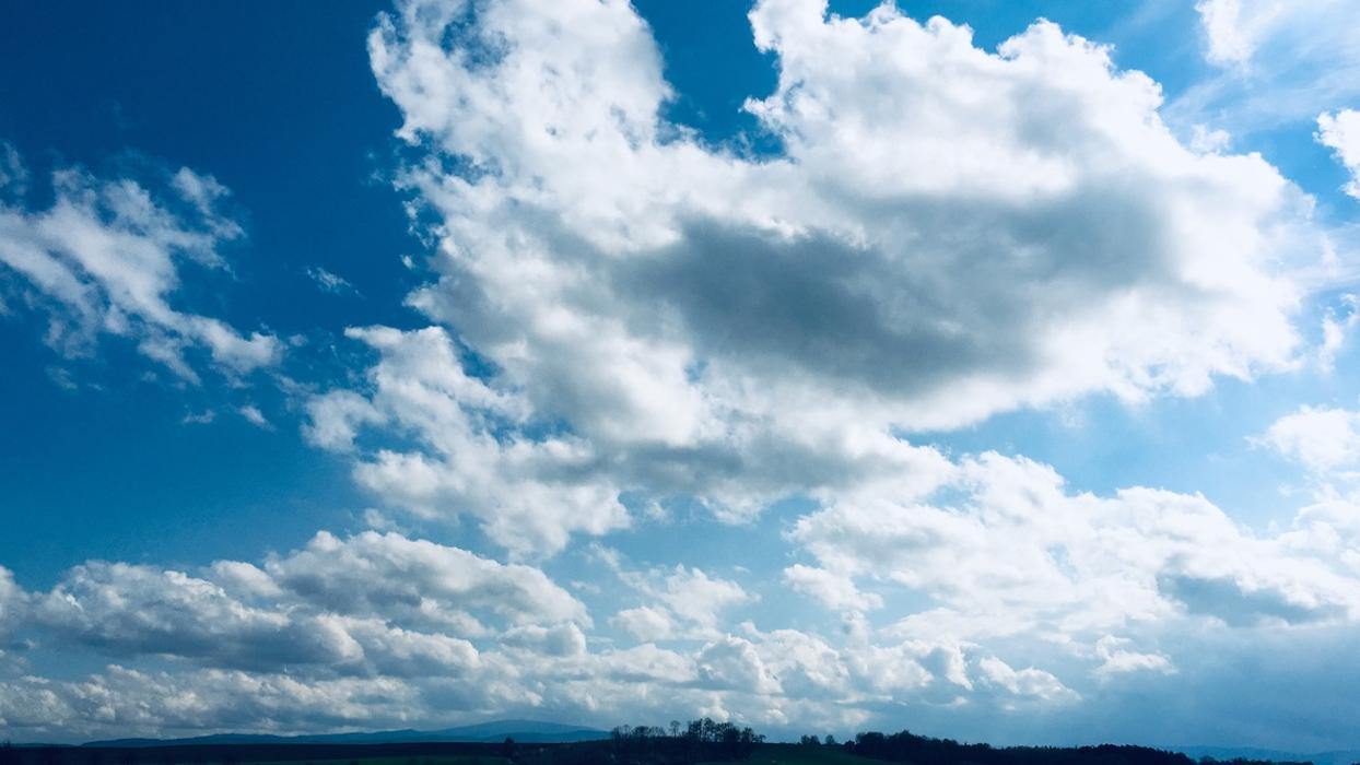 Achtsamkeit am Wall in Braunschweig