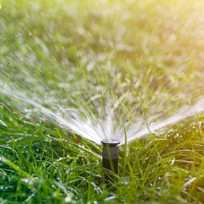 Sprinkler Blowout - Billings, MT