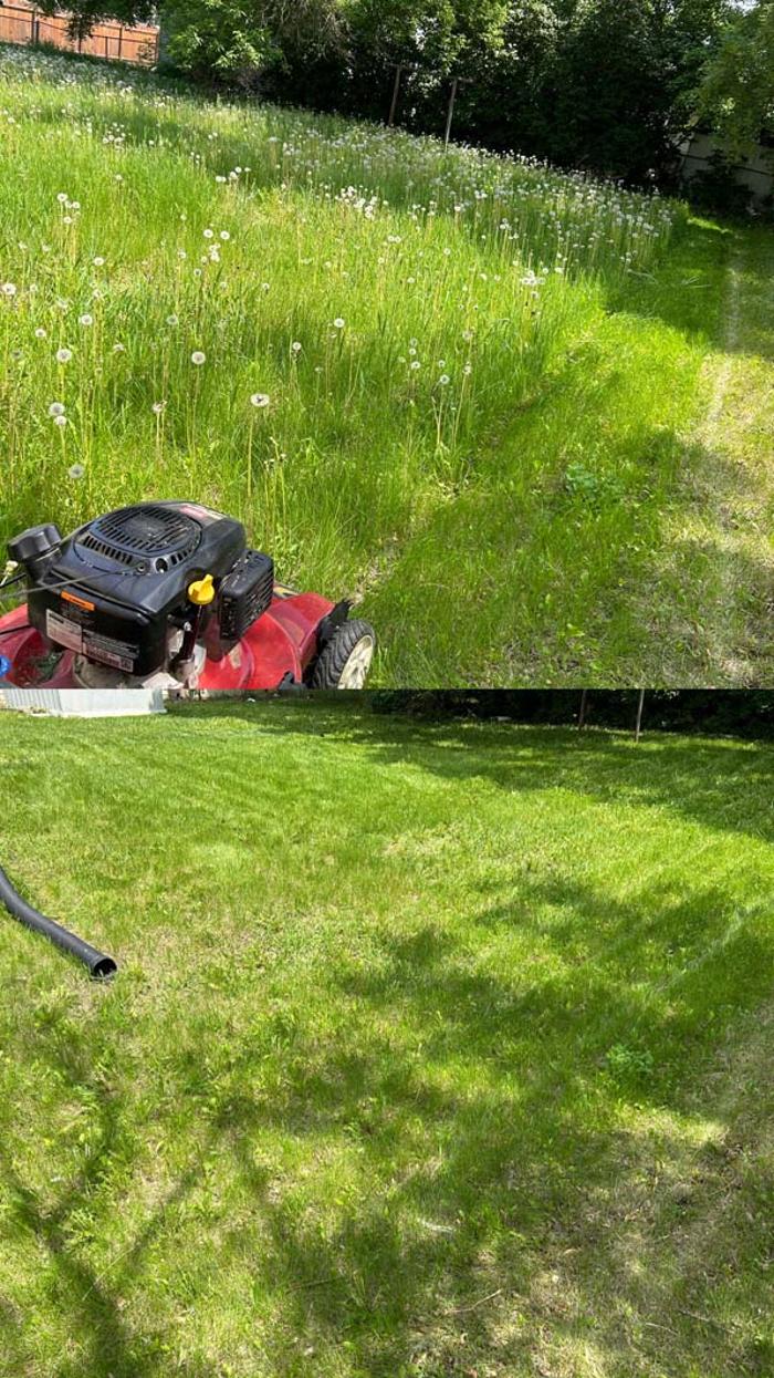 Colton's Property Care - Minot, ND