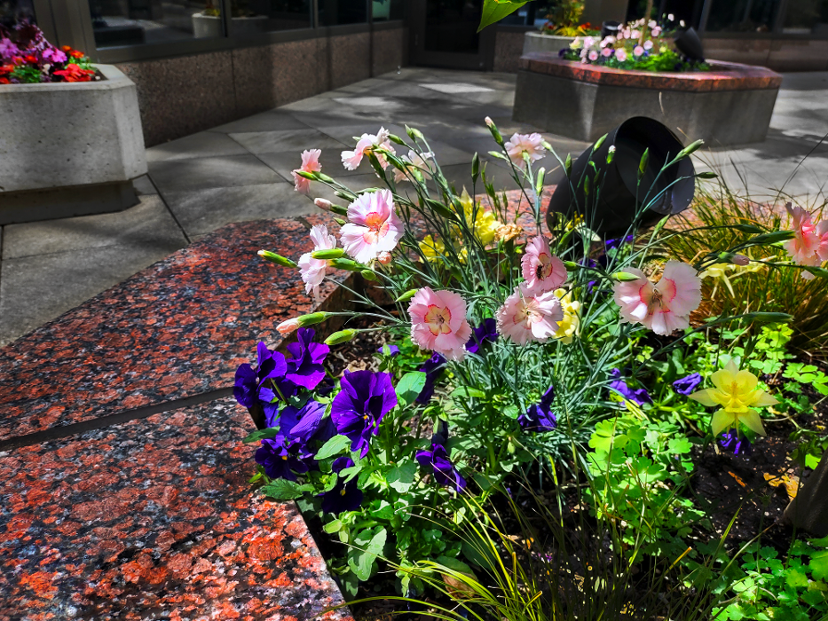 Uyeta Landscape, Design and Maintenance - Renton, WA