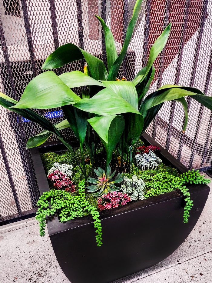 Uyeta Landscape, Design and Maintenance - Renton, WA