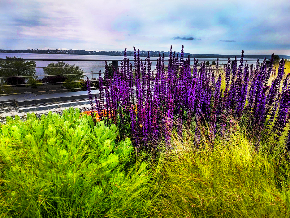 Uyeta Landscape, Design and Maintenance - Renton, WA