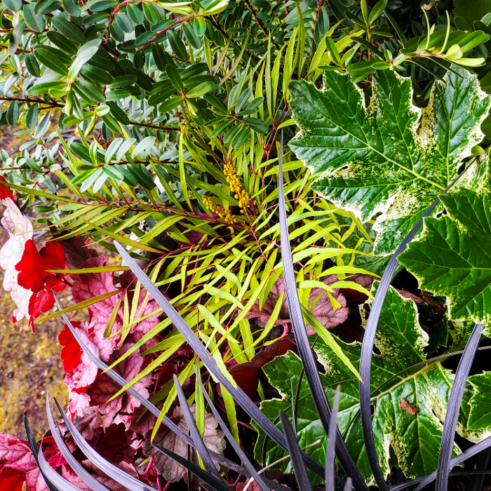 Uyeta Landscape, Design and Maintenance - Renton, WA