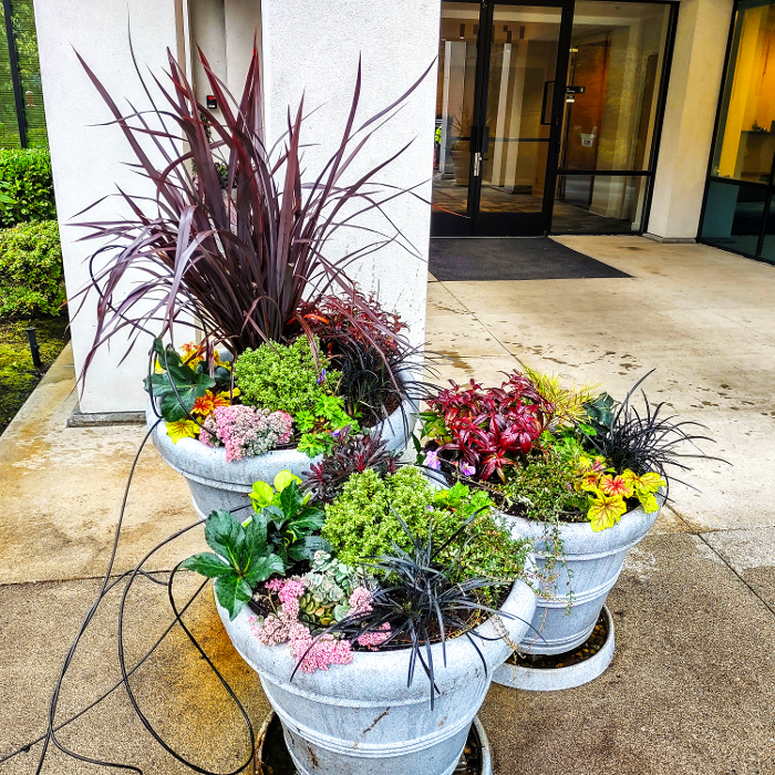 Uyeta Landscape, Design and Maintenance - Renton, WA