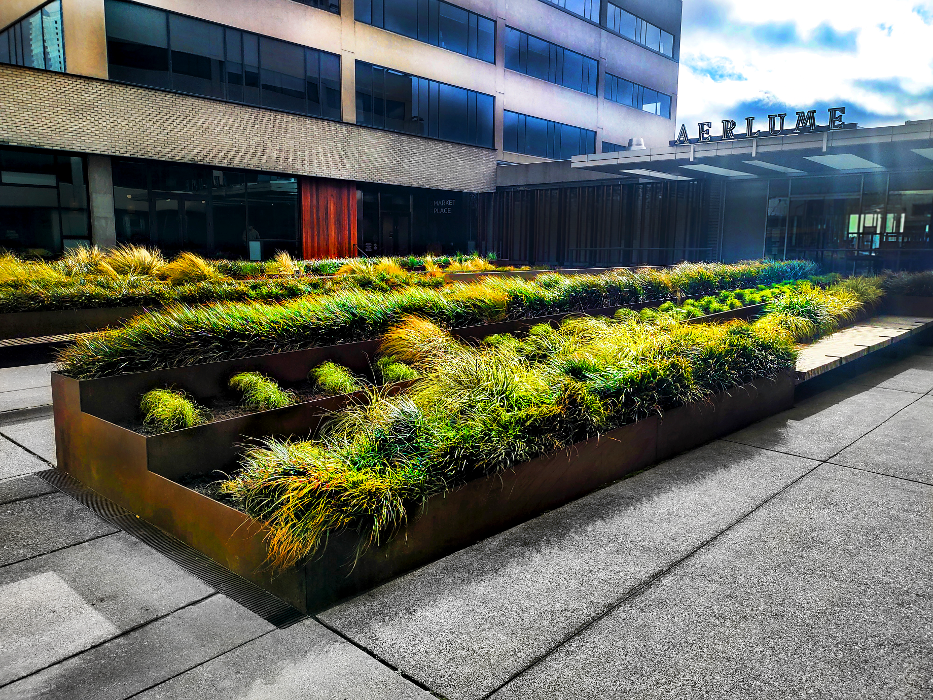 Uyeta Landscape, Design and Maintenance - Renton, WA