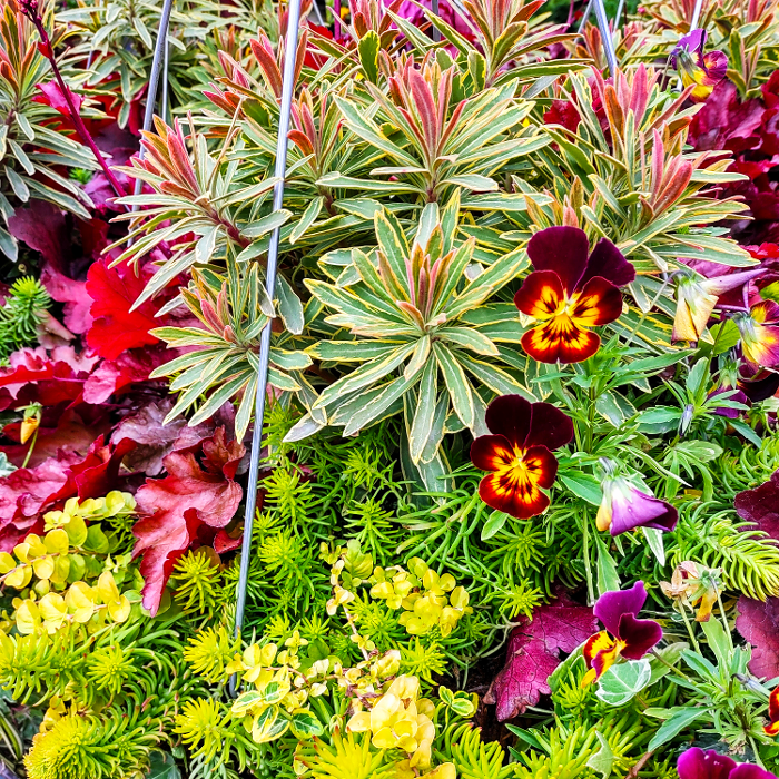 Uyeta Landscape, Design and Maintenance - Renton, WA
