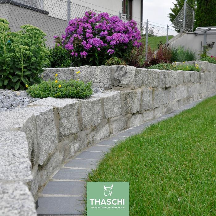 THASCHI, Albrechtstraße in Wels