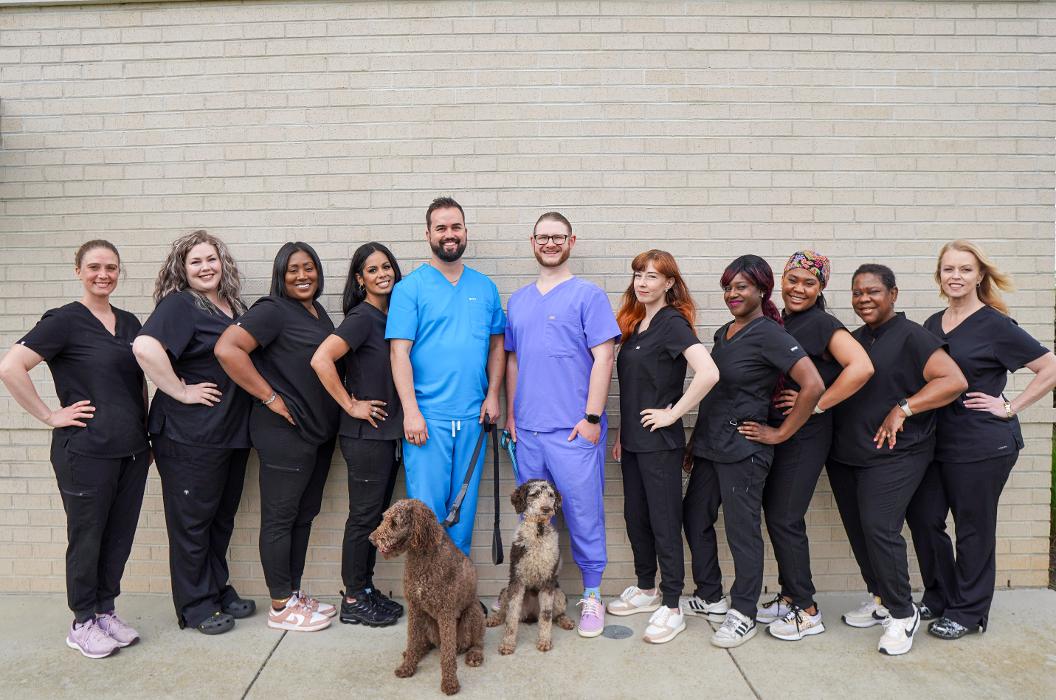 Bright Smiles Dental Image