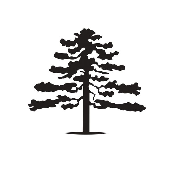 MAISON ALBERT SOUNIT