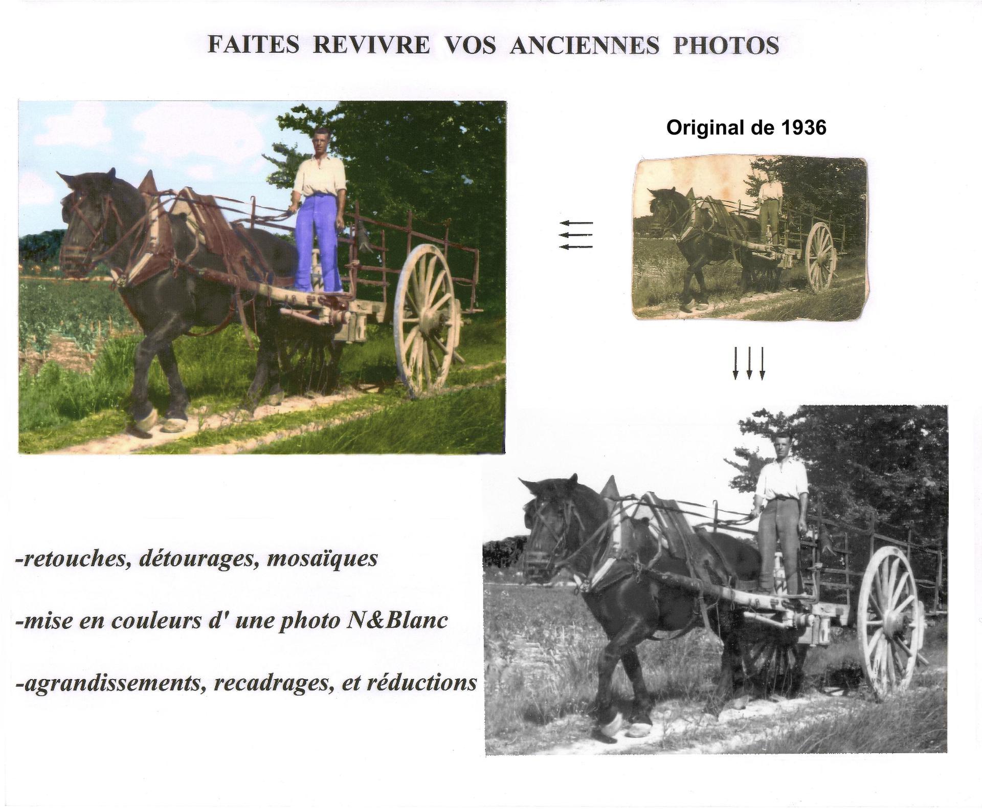 galerie image