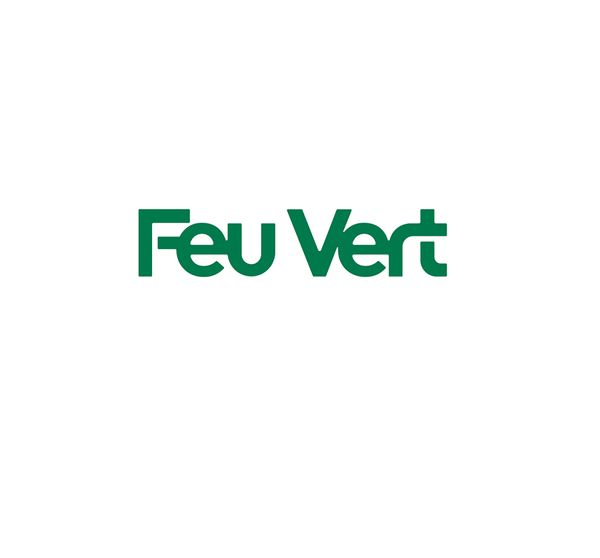 Feu Vert pièces et accessoires automobile, véhicule industriel (commerce)