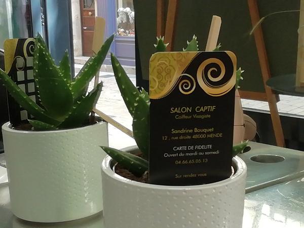 Salon Captif Coiffure, beauté