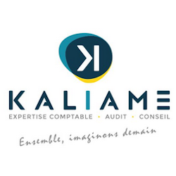 Kaliame Conseil commercial, financier et technique