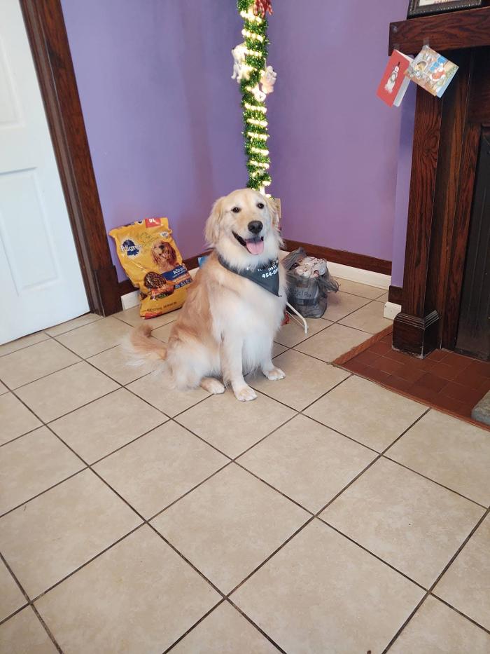 Pet Paradise - Tullahoma, TN