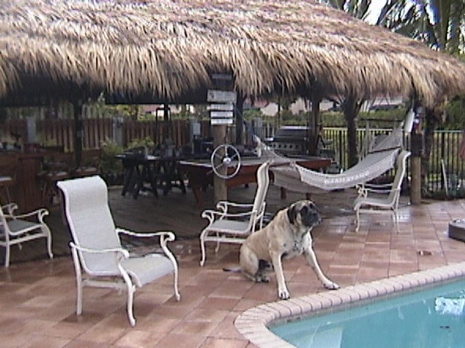 Preventive Maintenance Support Services - Boca Raton, FL