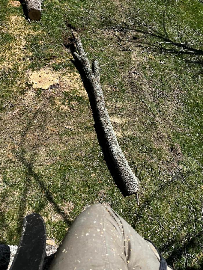 Big Foot Tree Service - Ladoga, IN