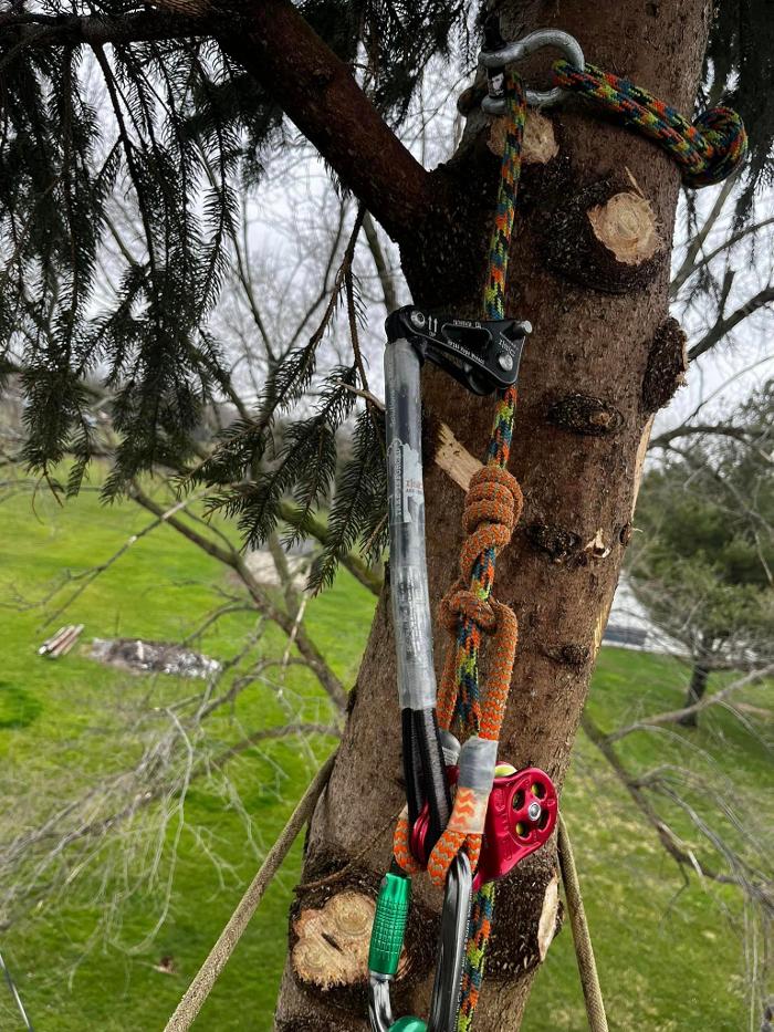Big Foot Tree Service - Ladoga, IN