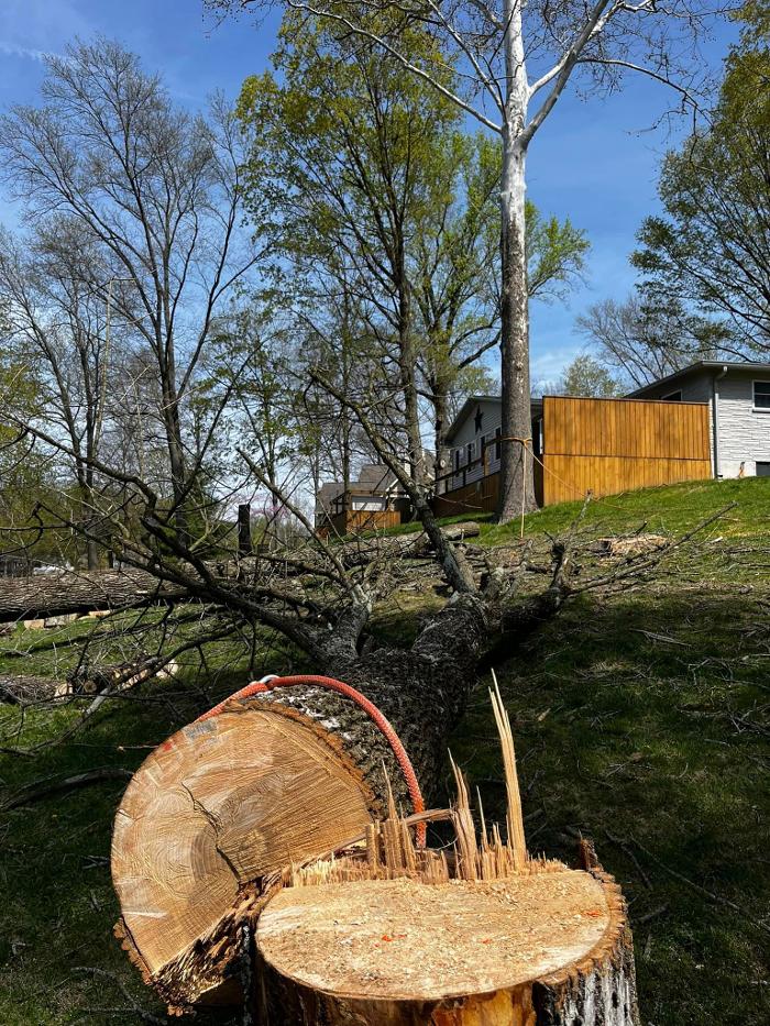 Big Foot Tree Service - Ladoga, IN