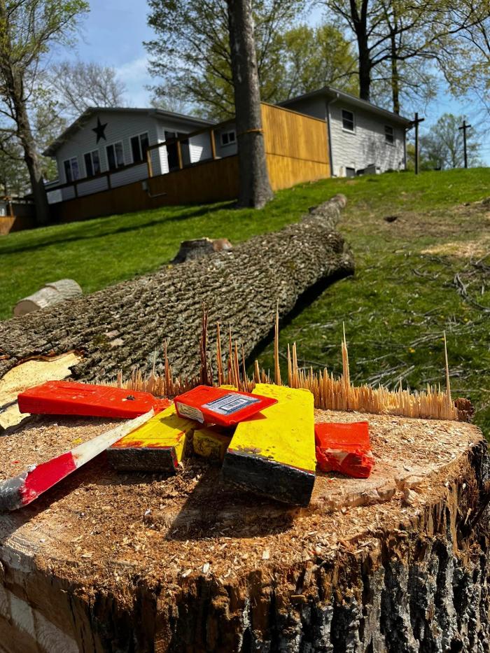 Big Foot Tree Service - Ladoga, IN