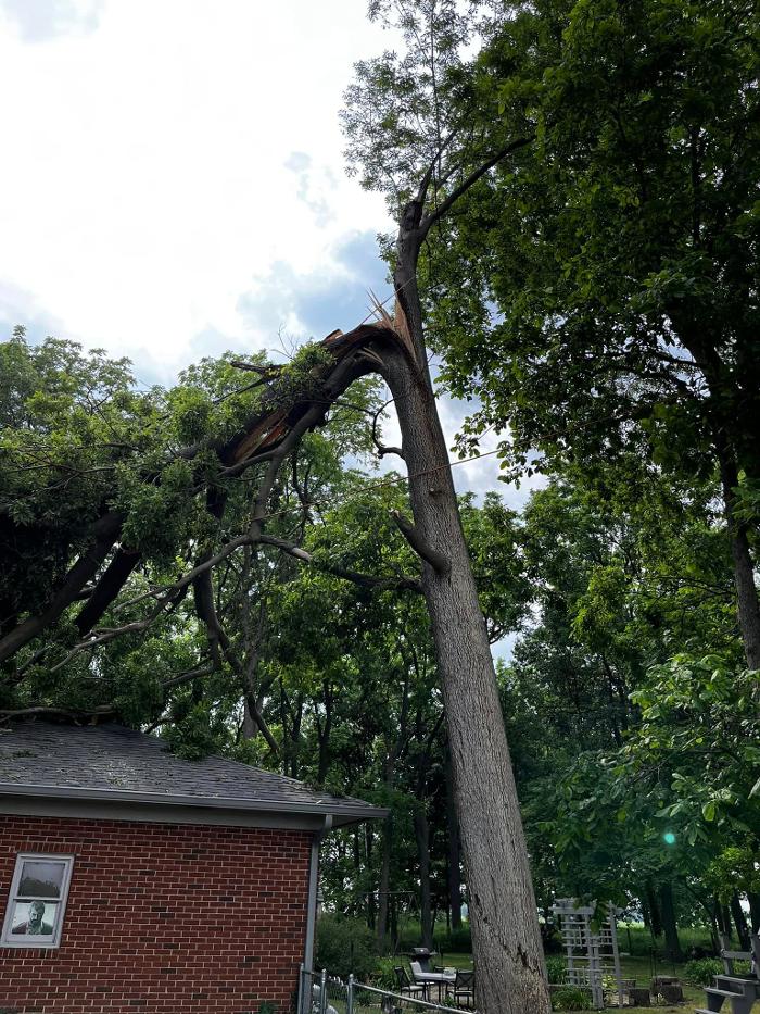 Big Foot Tree Service - Ladoga, IN