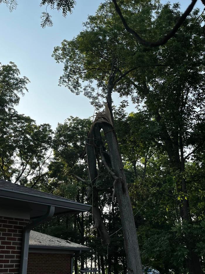 Big Foot Tree Service - Ladoga, IN