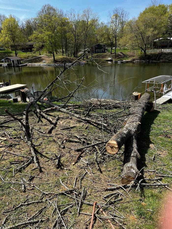 Big Foot Tree Service - Ladoga, IN