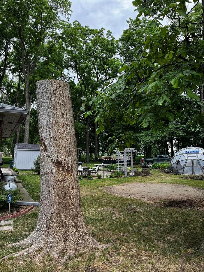 Big Foot Tree Service - Ladoga, IN