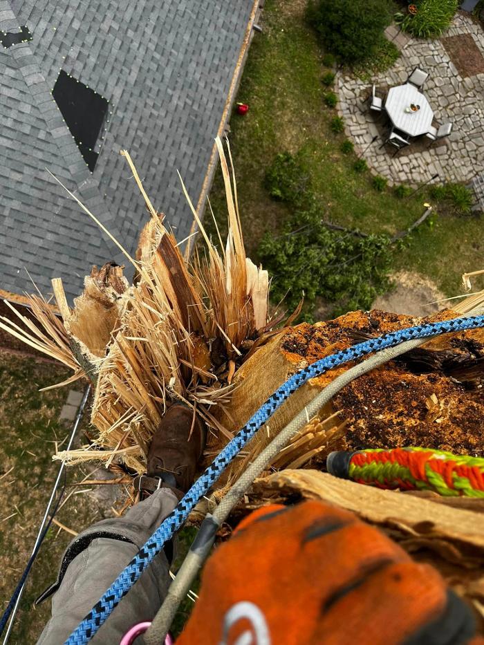 Big Foot Tree Service - Ladoga, IN